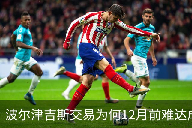 波尔津吉斯交易为何12月前难达成？美记点出两大障碍
